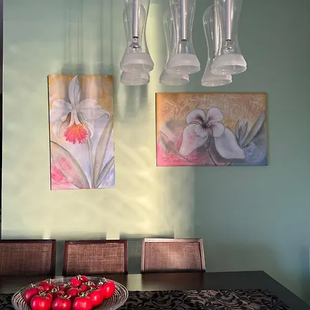 Maison Andre * פאנו לפקארה